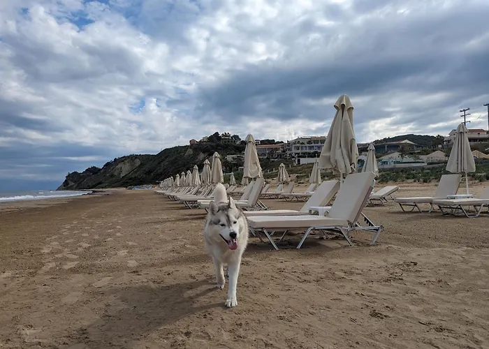 Getaway To Relax & Play At Meraki