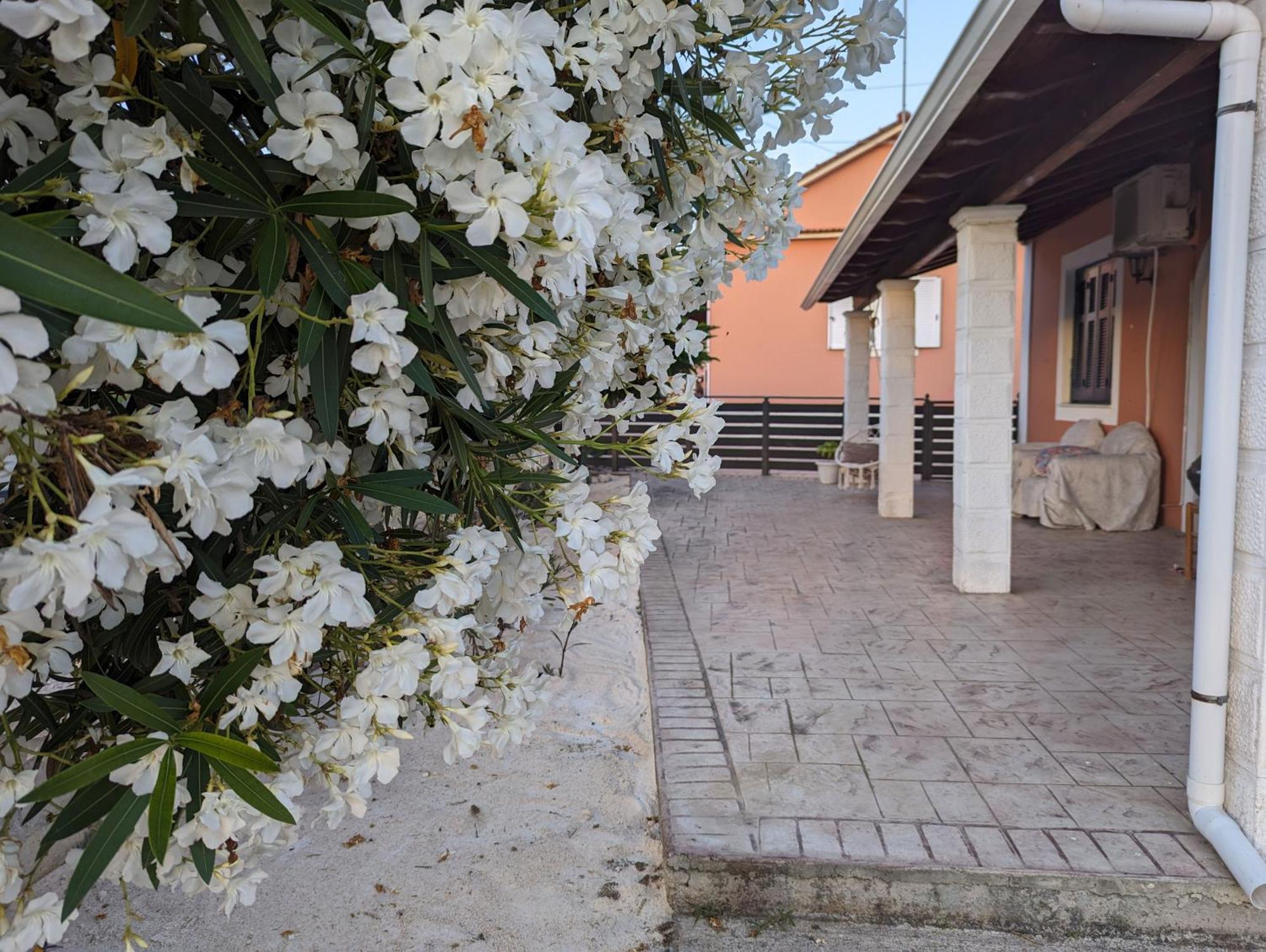 Getaway To Relax & Play At Meraki Agios Stefanos Avliotes (Corfu)